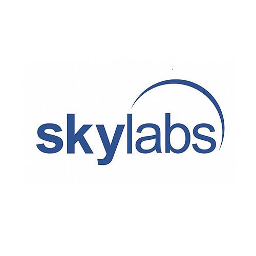 Skylabs.jpg